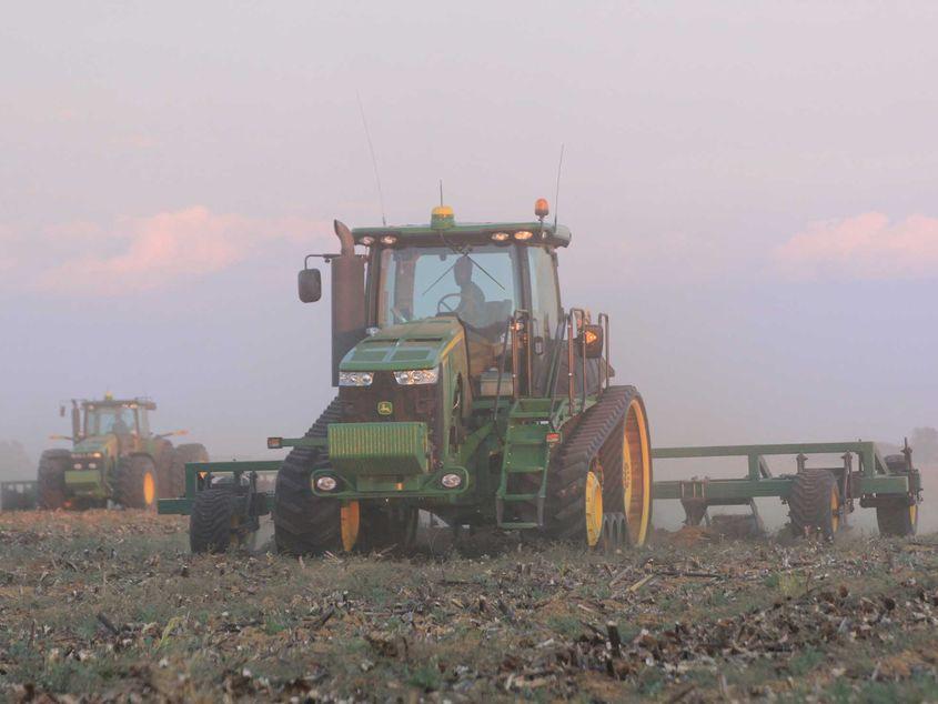 Schimbările climatice duc la secetă în zone largi din România. Un fermier din Vaslui s-a adaptat și cultivă năut acum. Foto: Matthias Mumme / Dreamstime.com