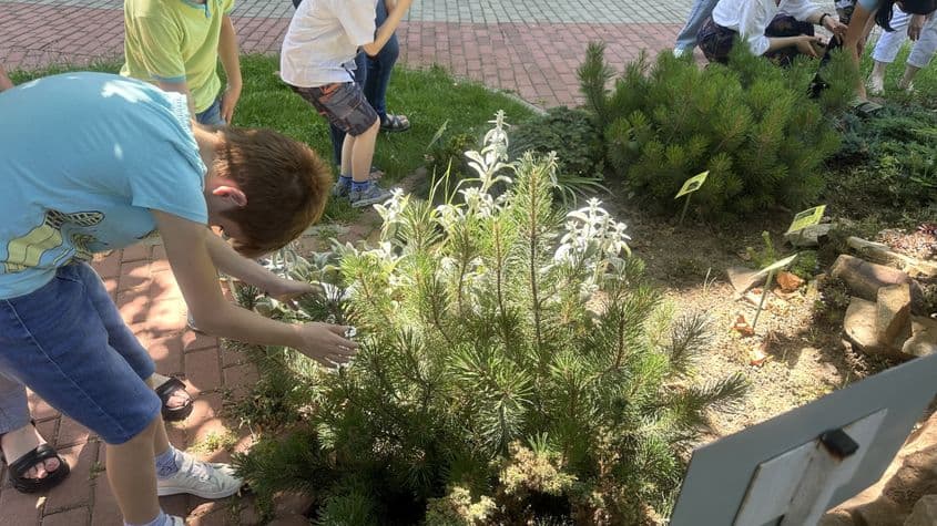 Foto: Asociația Tandem