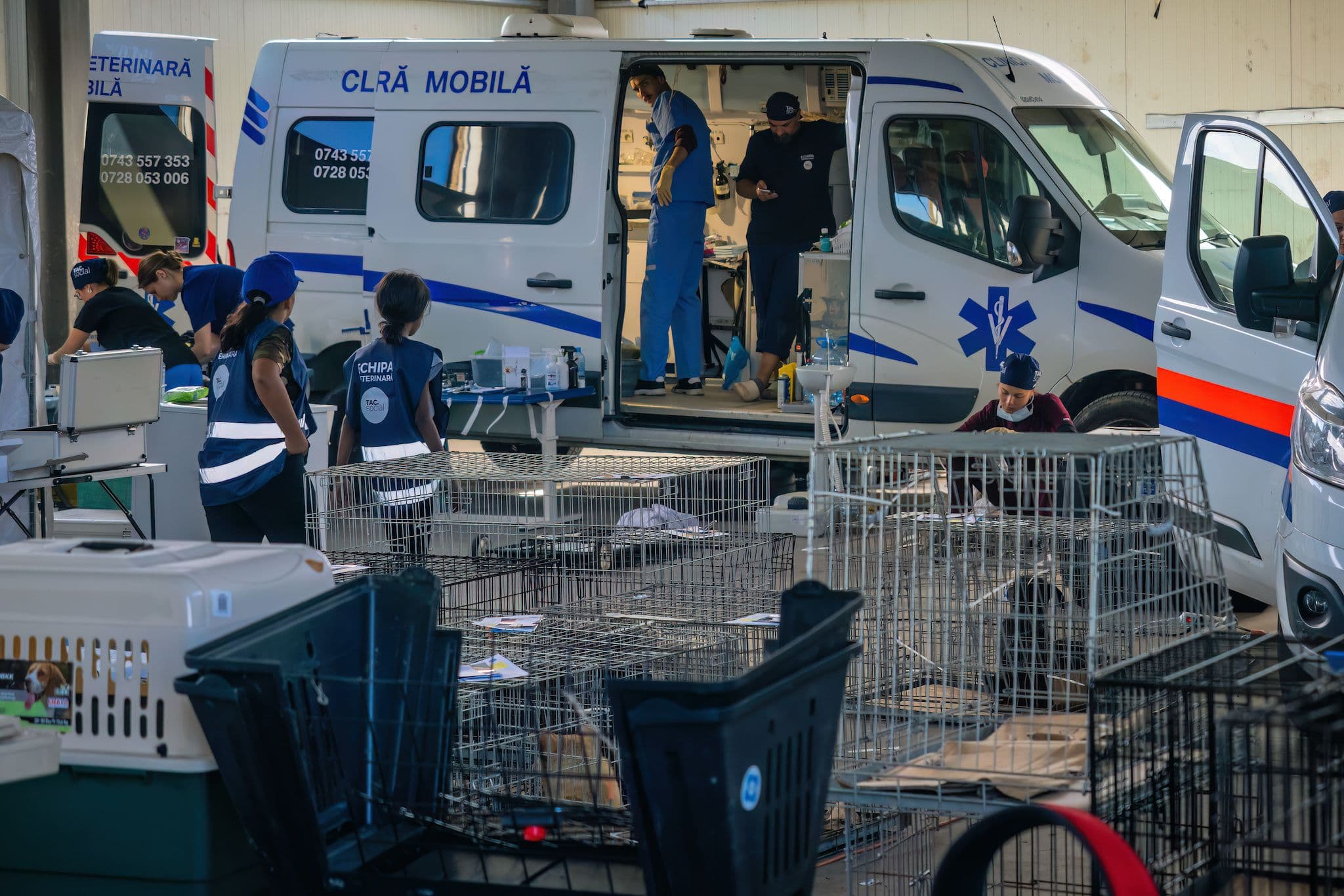 Foto: Loránd Vakarcs