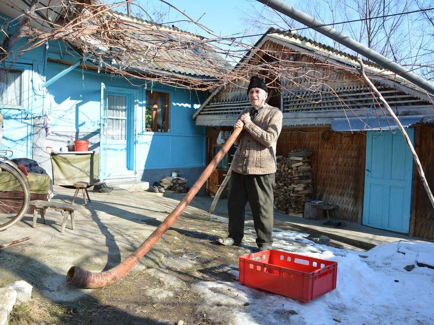 Buciumul cere suflu puternic din partea buciumașului. Ca să moduleze sunetul, acesta își folosește plămânii, gâtul, buzele și dantura. La bătrânețe, meșterul Mircea Micu nu mai poate sufla ca altădată, fiindcă nu mai are toți dinții. Fotografii: Viorel Ilișoi