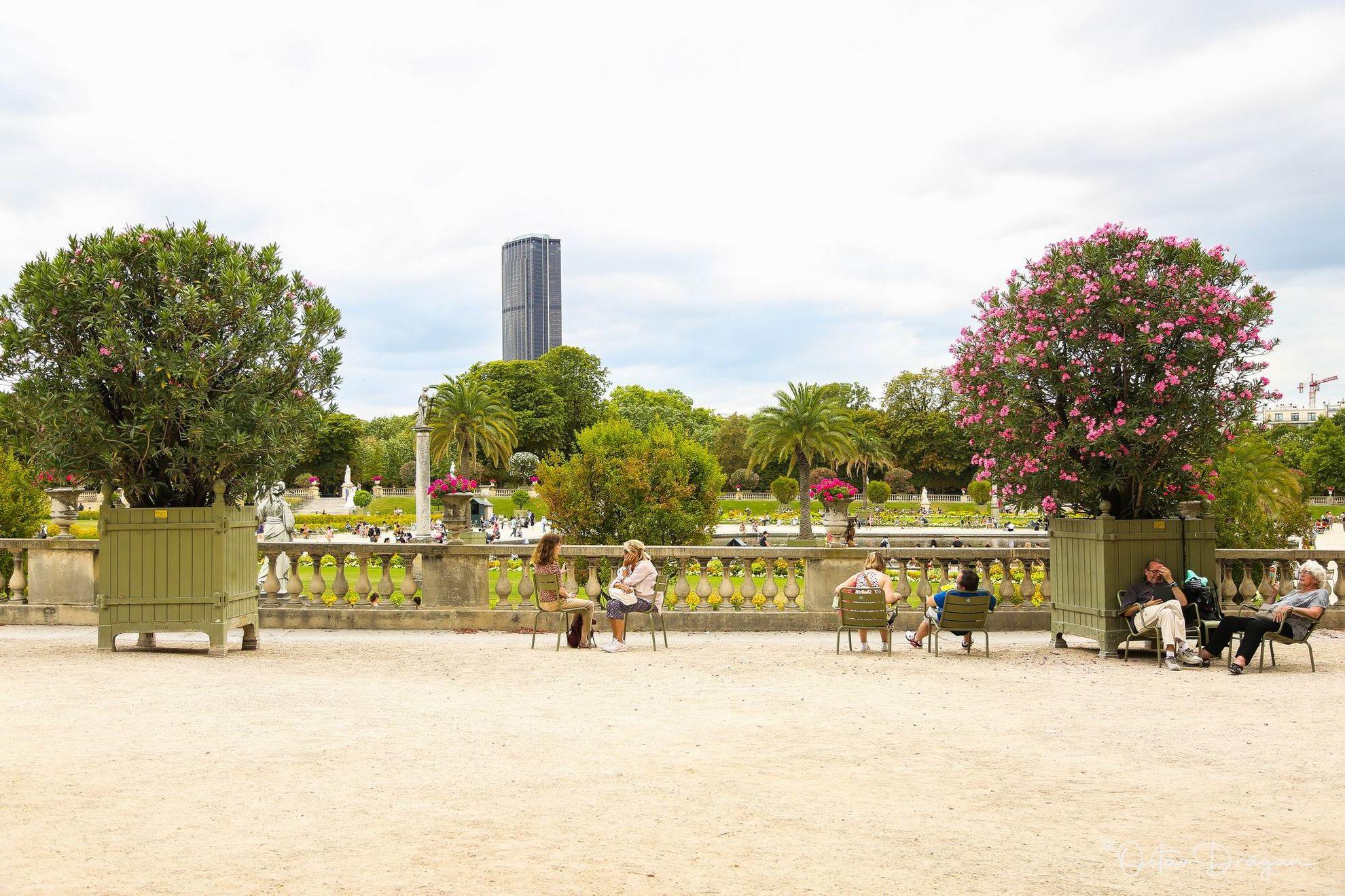 Grădina Luxembourg, vedere spre turnul Montparnasse. FOTO Octav Drăgan