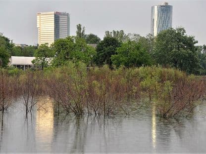 Ficțiunile Gabrielei Firea: noul "pol turistic" al Capitalei din lacurile Floreasca-Tei (II)