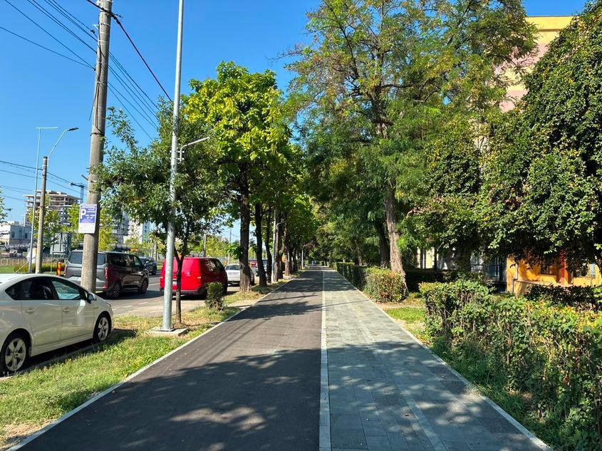 Baia Mare: Bulevardul Independenței e ocrotit de arbori maturi, care oferă umbră