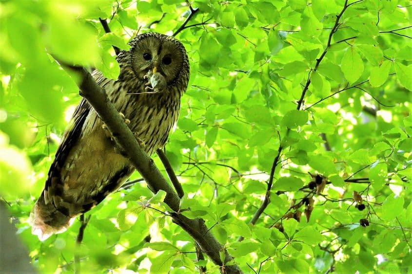 Foto: Teodor Octavian Păunescu