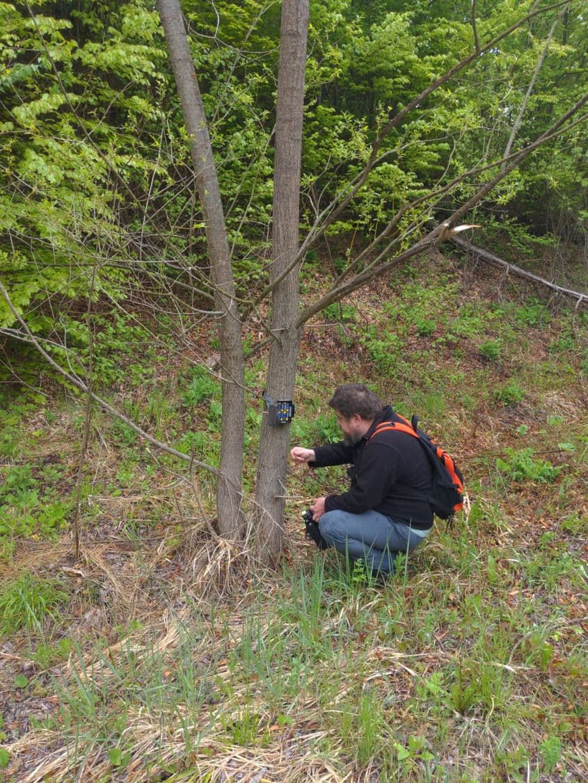 Asociația pentru Conservarea Diversității Biologice / montarea unei camere cu senzori pentru monitorizarea urșilor. sursa: Mihai Pop