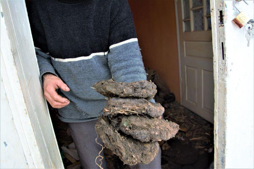 Tizicul, cărbunele săracului, de sub coada vacii.