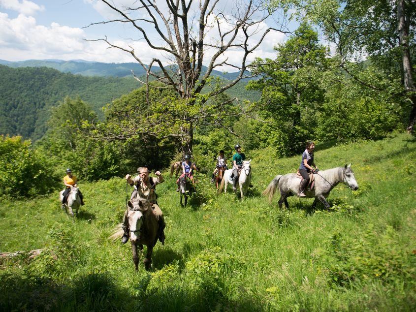 Un grup de turiști explorează călare împrejurimile satului Odăi din județul Vâlcea. Foto: Cristi Șuțu