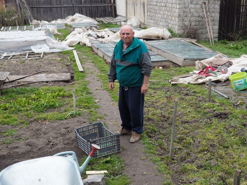 În ciuda unei ierni prelungite, un grădinar adevărat nu încetează să spere în vremuri mai bune.