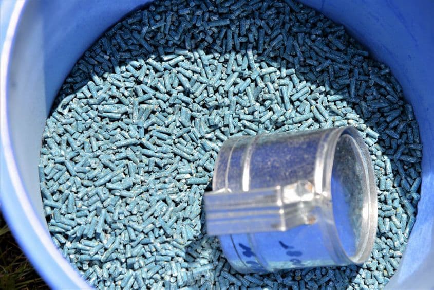 Otrava este făcută să acţioneze lent, pentru ca şobolanii să nu se „prindă” de ce le-au murit fraţii.