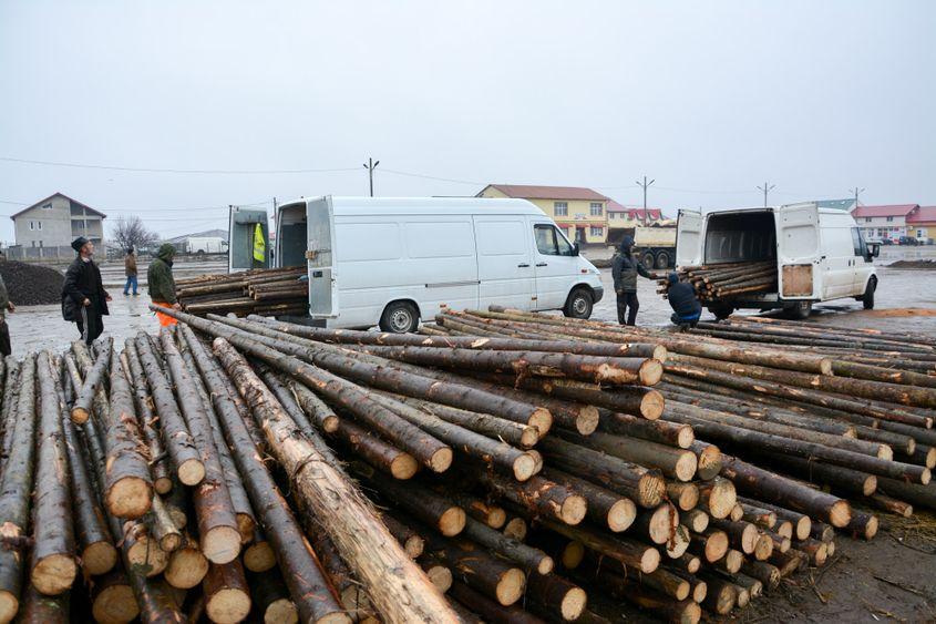 În jurul legumiculturii prosperă o mulțime de firme care aprovizonează cu materiale pentru solarii.
