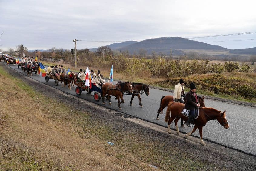 O dată la o sută de ani, se poate întâmpla o minune.