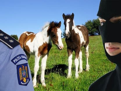 Știri din cealaltă Românie. La Timișoara un bebeluș a venit pe lume pe peronul 6 al gării, iar în Vaslui un bărbat a făcut schimb de cai cu forța