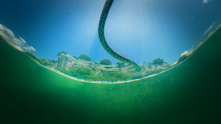 © Christian Baumeister, Light & Shadow GmbH