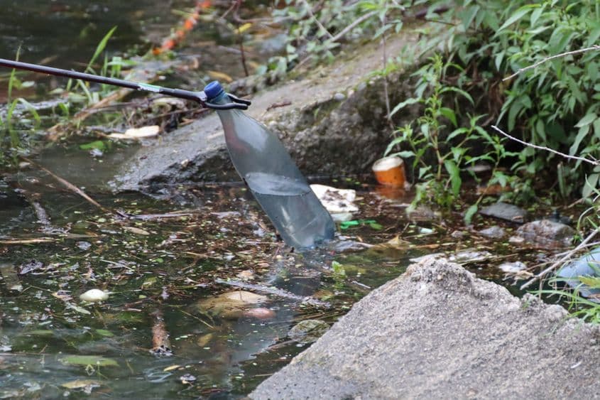 Foto: Asociația Mai Mult Verde