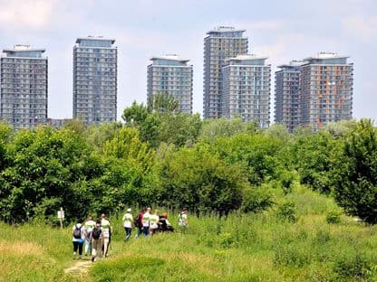 Podcasturile biodiversității: Parcul Natural Văcărești - Oaza din sânul orașului