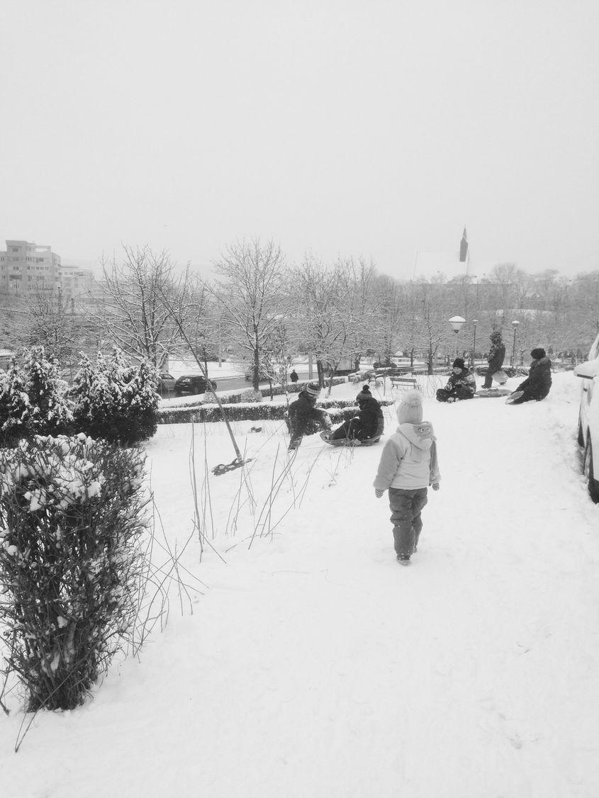 Foto: Cristina Barsony