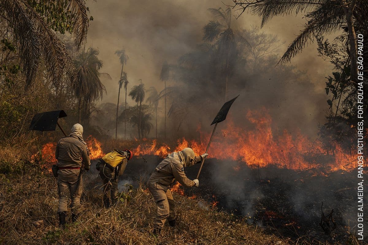 Pompierii combat un incendiu izbucnit la ferma São Francisco de Perigara, Brazilia, care este o zonă protejată dedicată conservării unei populații de papagali (Anodorhynchus hyacinthinus). Circa 92% din zona fermei a fost distrusă de incendiu, în cele din urmă. Foto: Lalo de Almeida / Panos Pictures, pentru Folha de São Paulo