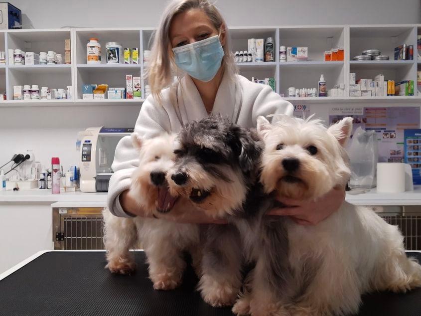 Dr. Paula Negoescu. Foto: Charlie's Clinic Vet
