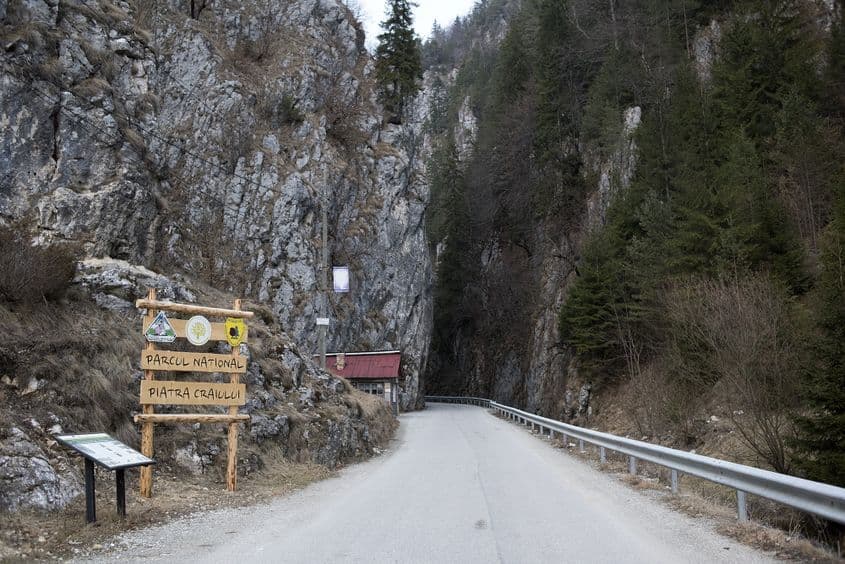 Intrare pe o vale din Argeș în Parcul Național Piatra Craiului. Foto: Raul Ștef