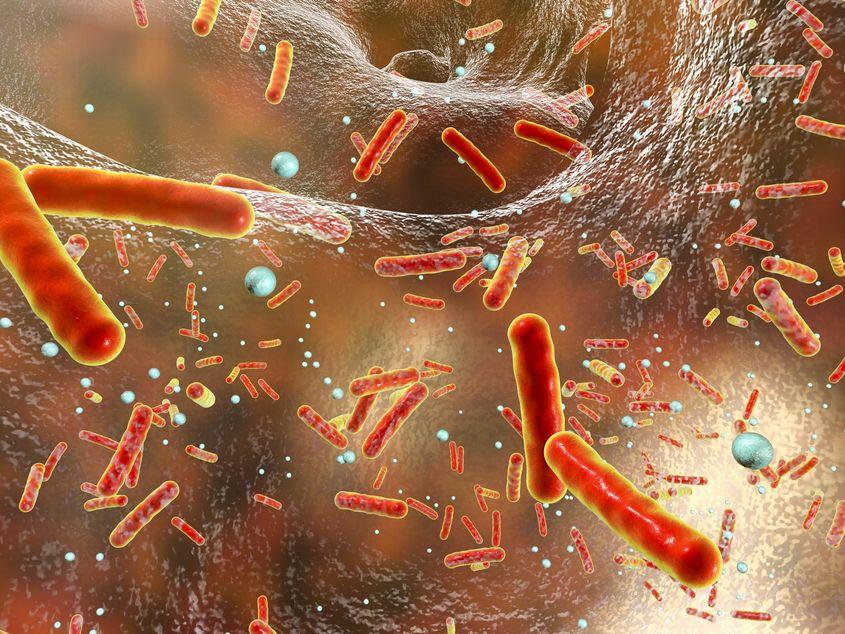 Reprezentare a unei comunităţi de bacterii care dezvoltă rezistenţă la antibiotic. Foto: Kateryna Kon / Dreamstime.com