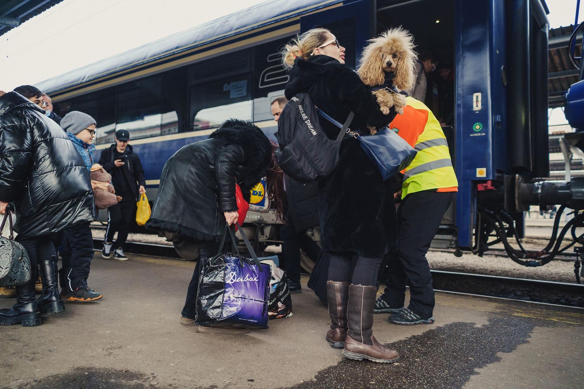 Oamenii au fugit de război împreună cu animalele lor de companie. Gara de Nord, București, martie, 2022. Foto: Ioana Epure