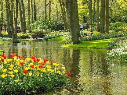 Florentina Nanu, Urban Landscapes România: „Avem autorități publice dispuse să facă spații verzi moderne, dar la implementare te lovești de nea Gicu, care plantează arbori ca pe vremea lui străbunicu'”