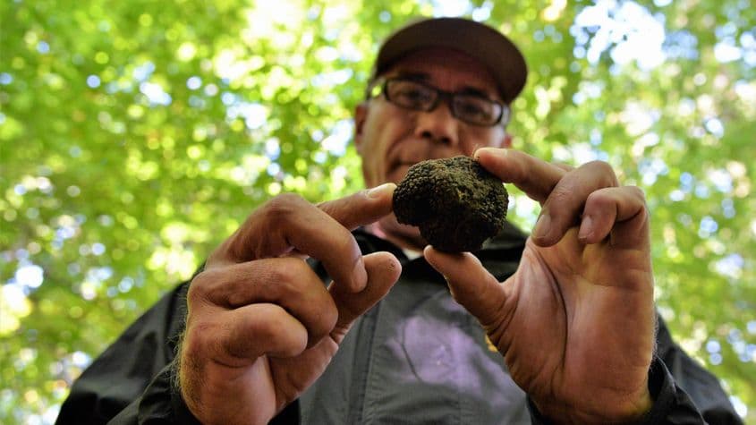 Marius Herghelegiu, fost reporter, rescrie istoria gustului în România. Foto: Lucian Muntean