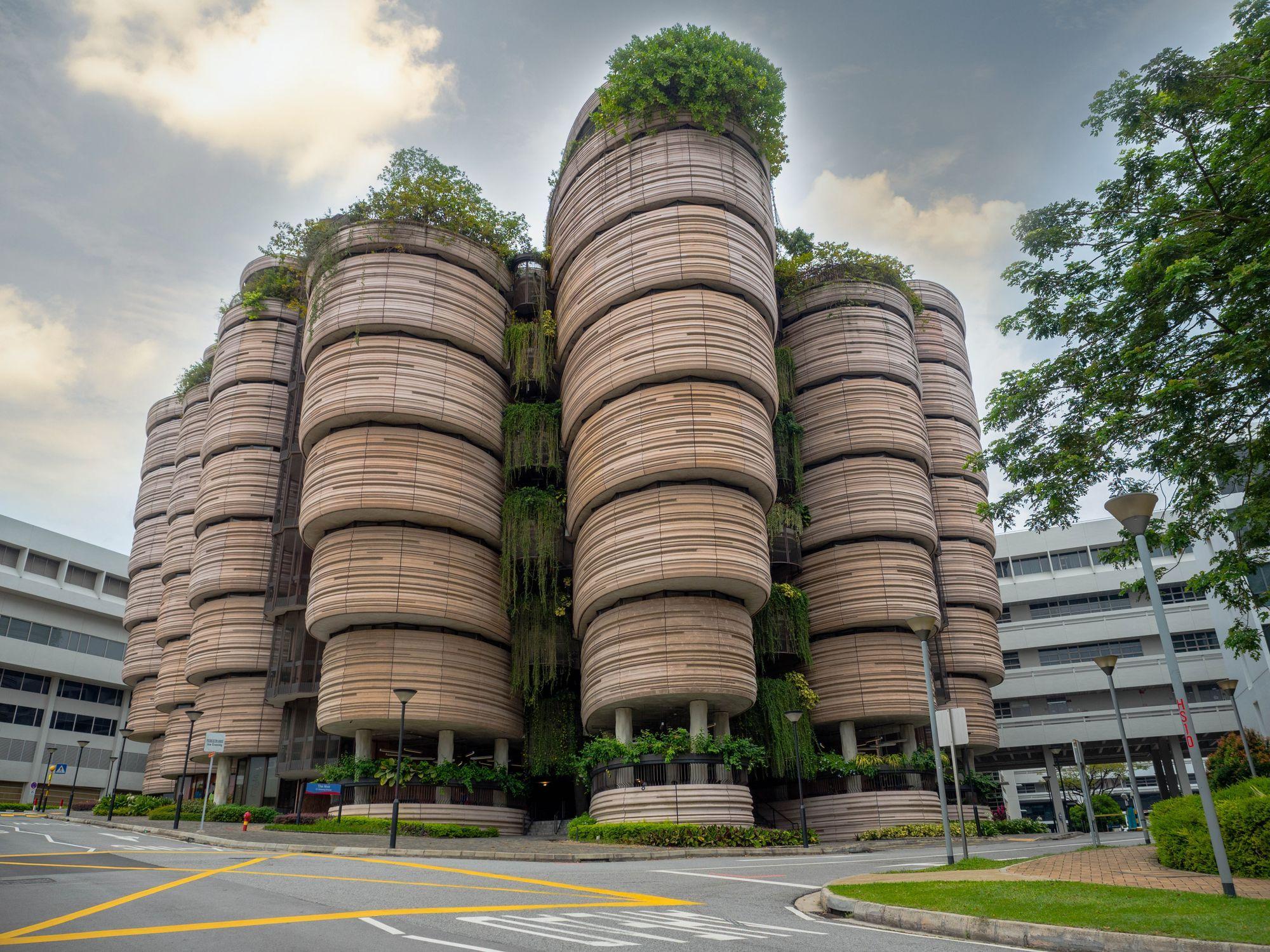 The Hive (Stupul), Universitatea Tehnologică Nanyang. Foto <a target="_blank" href="https://www.dreamstime.com/thebigland88_info">Thanakorn Suppamethasawat</a> - <a target="_blank" href="https://www.dreamstime.com/photos-images/singapore-20green.html">Dreamstime.com</a>