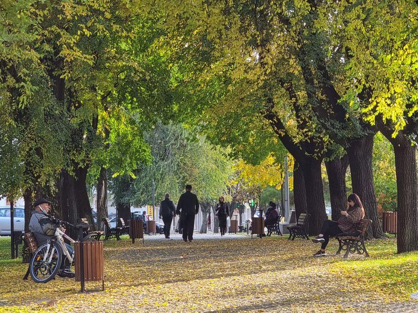 Spațiile verzi sunt esențiale, dar edilii noștri încă sunt puși pe betonat sau au grijă doar de cele centrale