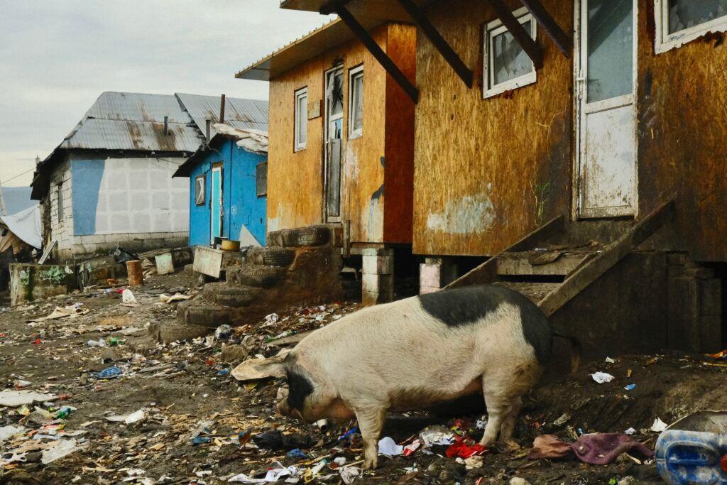 Foto: Vlăduț Bîlea