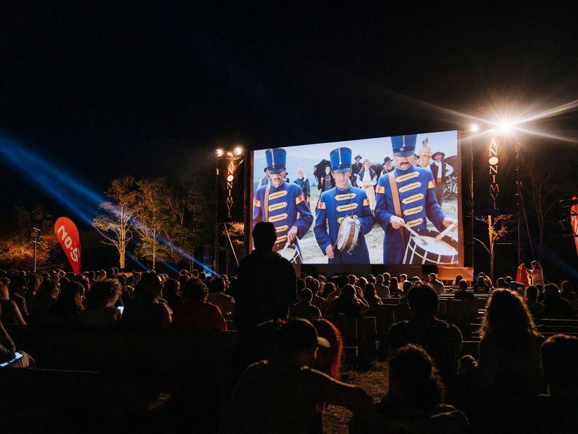 Festivalul Anonimul