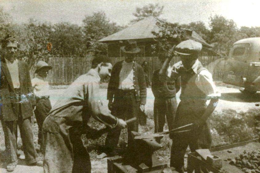 Agricultură la CAP. Foto: IICCMER (c)