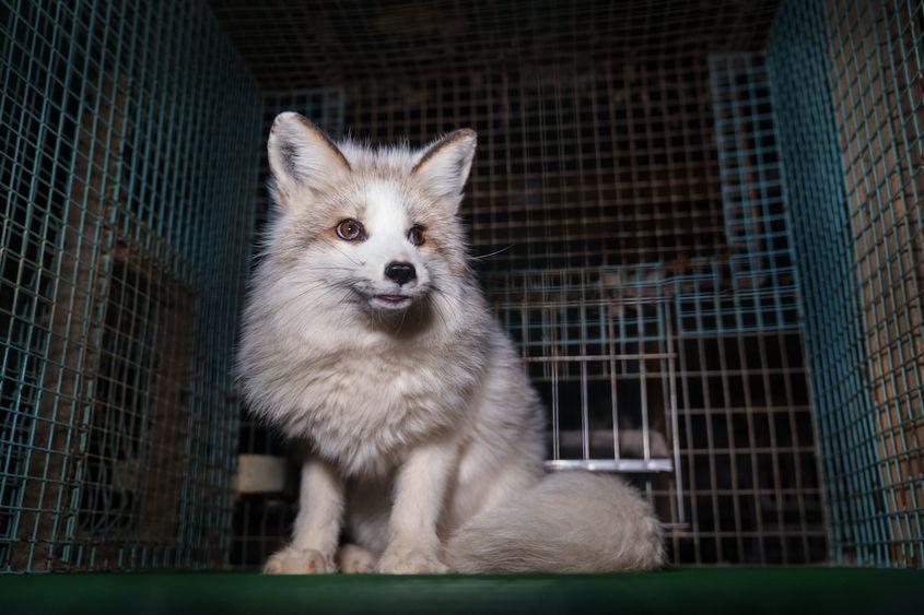 Foto: Kristo Muurimaa