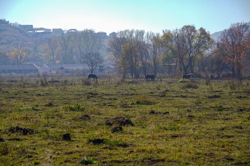 Amplasamentul viitorului Spital Regional de urgență
Foto: Raul Ștef