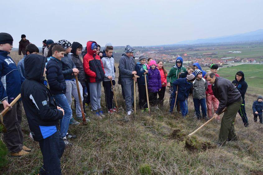 Acțiune de împădurire realizată în Ciugud cu voluntari. Foto: Pagina de Facebook a Primăriei Ciugud