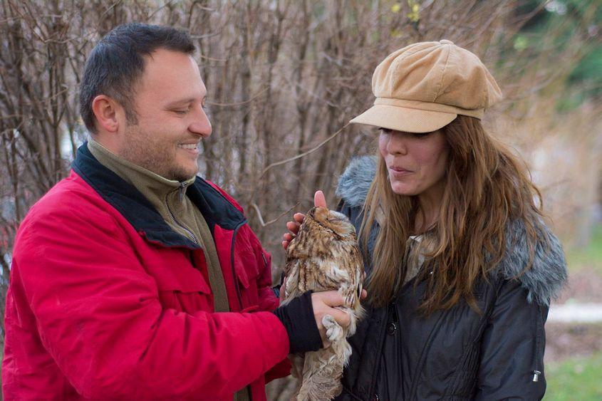Chiar înainte de eliberare, huhurezul mic, ținut de Paul Țibu, este mângâiat pe creștet de Alexandra Ion. Foto: Ștefan Andrei