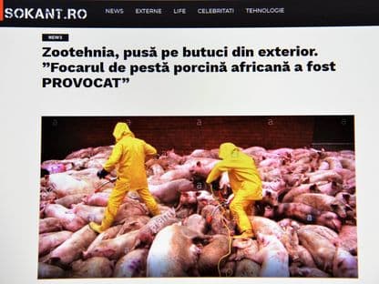Pesta porcină este "provocată de străini", iar UE vrea "legalizarea pedofiliei"