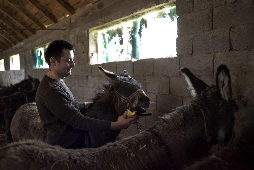 Roxi e răsfățată cu un măr.