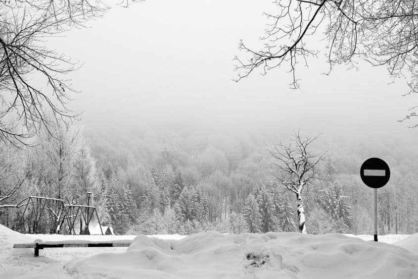 Fotografie: Bogdan Petrovan