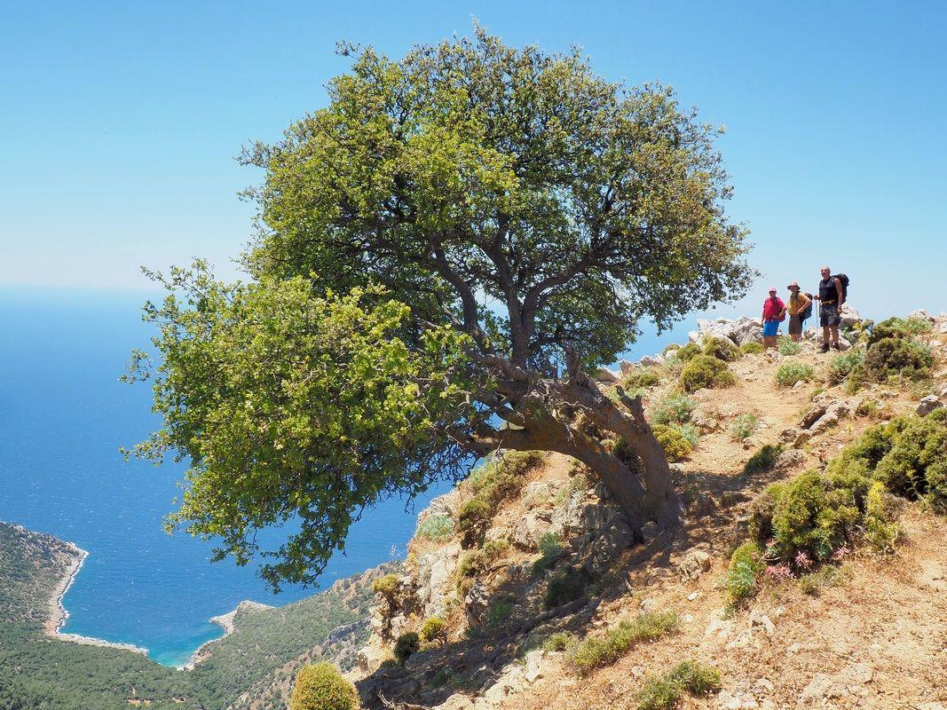 Uneori faleza e periculos de abruptă, însă coasta Mediteranei văzută de sus merită riscul
