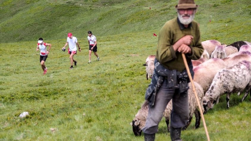 Foto: Mircea Gherase