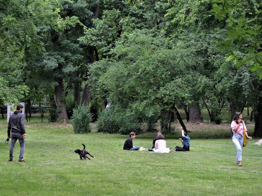 Parcurile și grădinile istorice din București, precum Herăstrăul sau Cișmigiul, precum și parcurile dintre blocuri ar putea deveni construibile. Foto Lucian Muntean