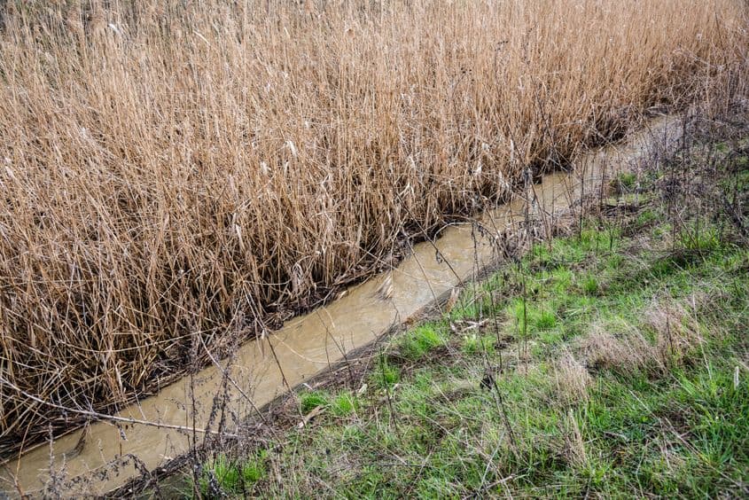 Pârâul Zăpodie ajunge în Someș trecând la câțiva zeci de metri de aria Aeroportului Internațional „Avram Iancu” din Cluj-Napoca.