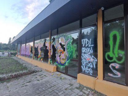 Spotmedia. ro: Vandalism și agresivitate în parcurile din București. De ce sunt nepăzite de aproape 5 ani