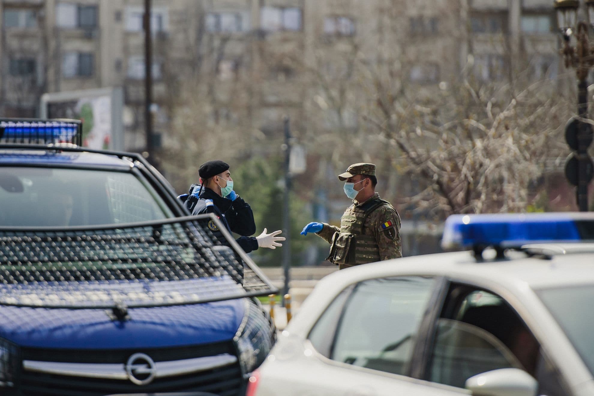 Poate dezbat și ei, la fel ca noi, toate posibilele scenarii care ne așteaptă.. Foto: Ioana Epure