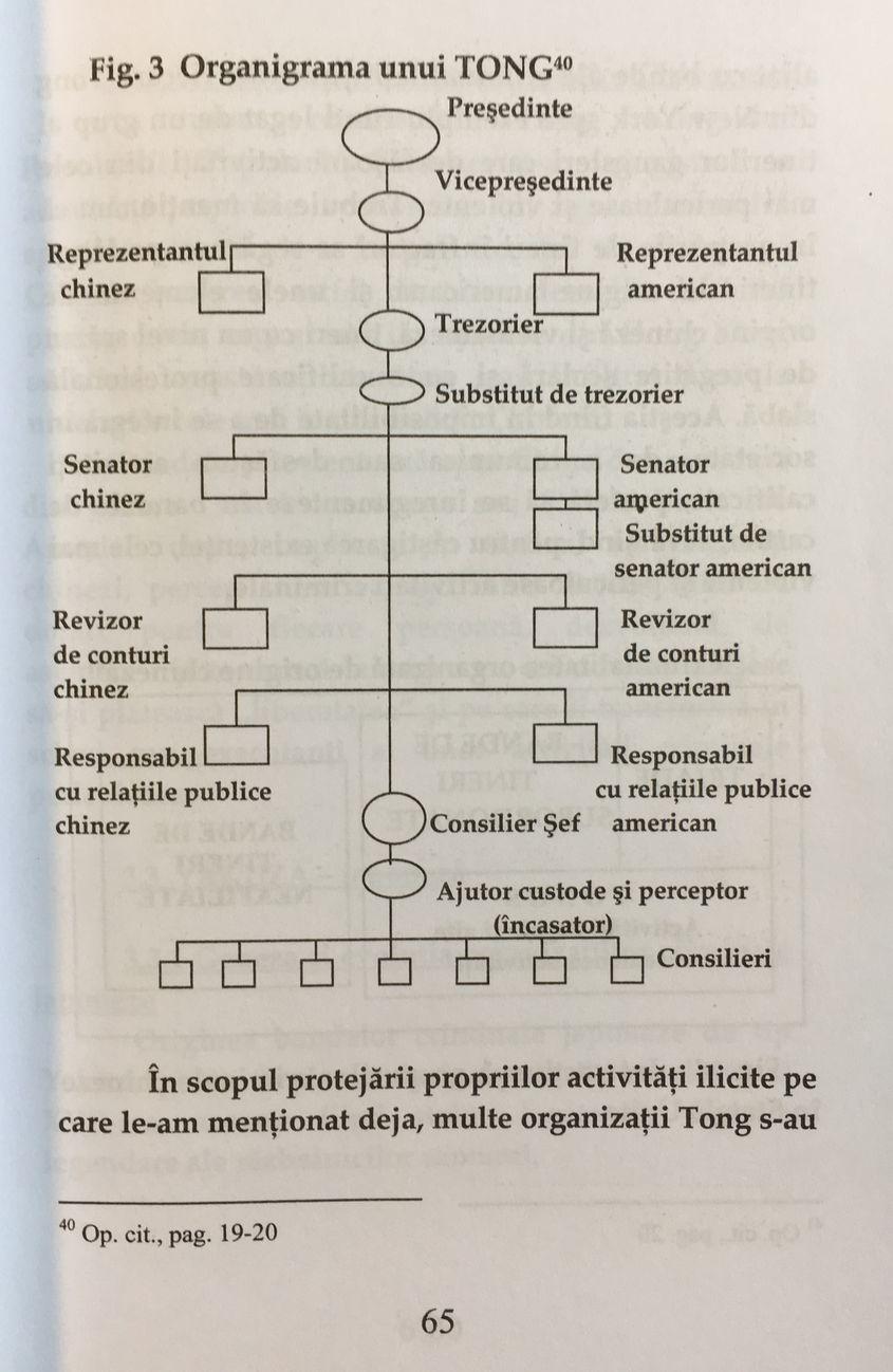ORIGINAL. Pagina 65 din cartea „Criminalitatea organizată și spălarea banilor”, semnată de Gheorghe Mocuța.