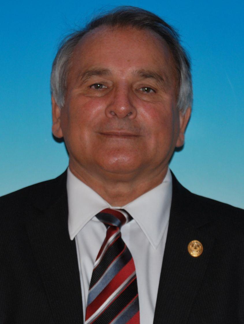 Petru Andea. Foto: Cdep.ro