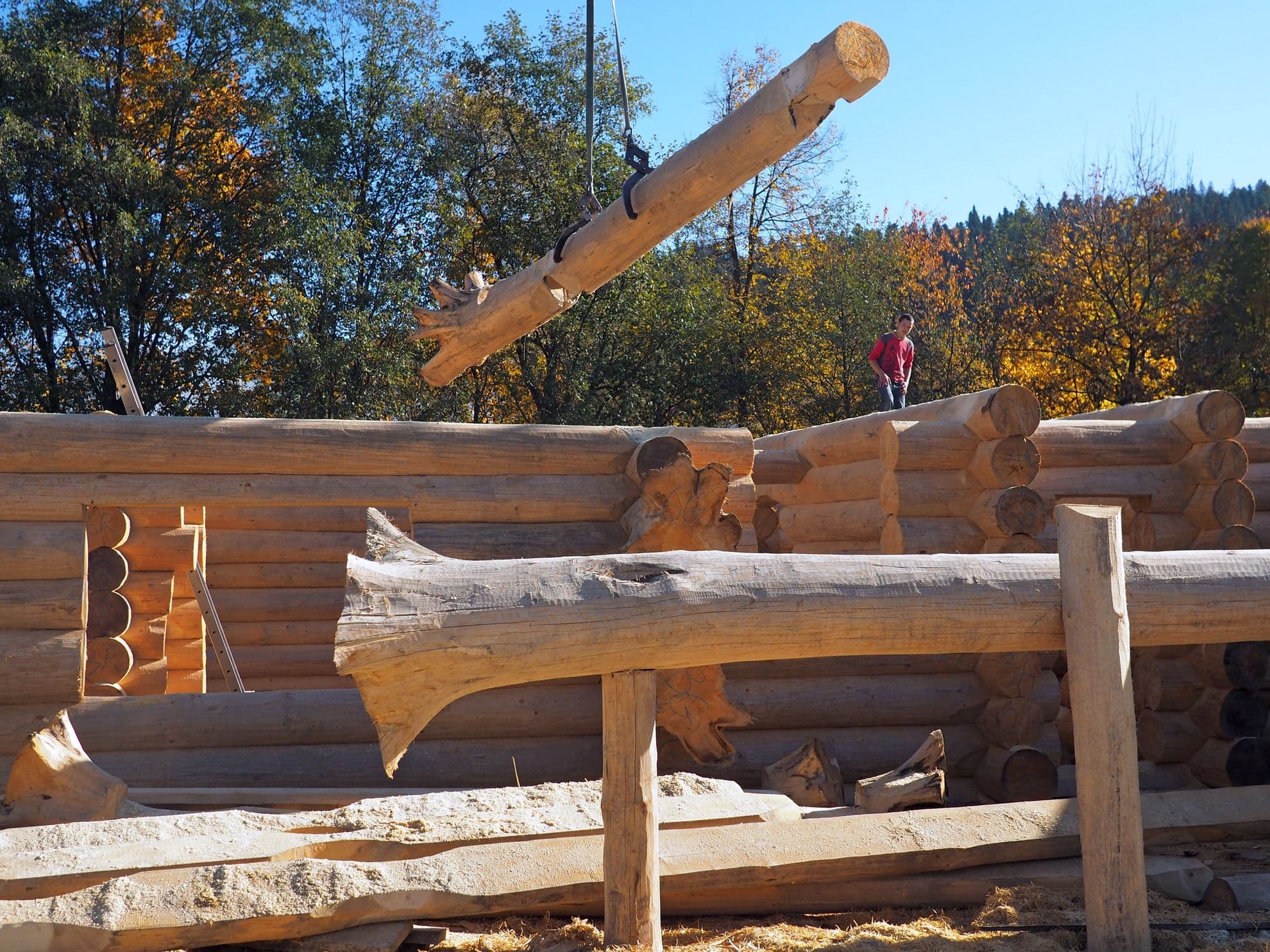 Ultimul trend în materie de design rustic pentru cabane - copacul întreg cu început de rădăcină.