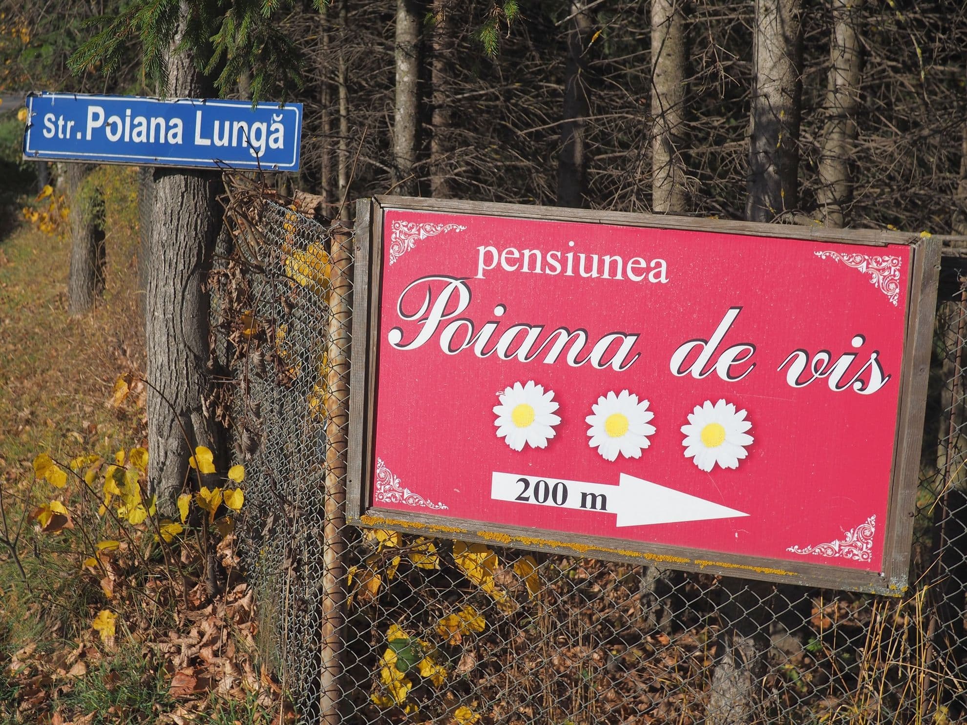 Poiana de vis de pe strada Poiana lungă. Genial, de vis chiar.
