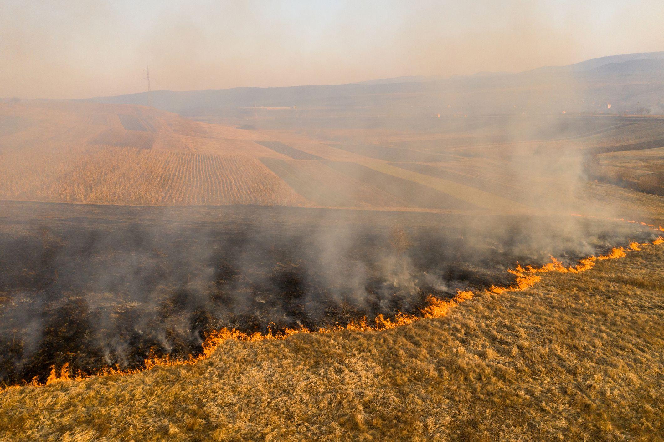 În România, miriștile ard anual necontrolat, iar incendiile se extind în păduri. Foto © Salajean | Dreamstime.com